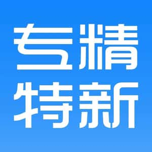 擦亮“專精特新”金字招牌 支持中小企業高質量發展